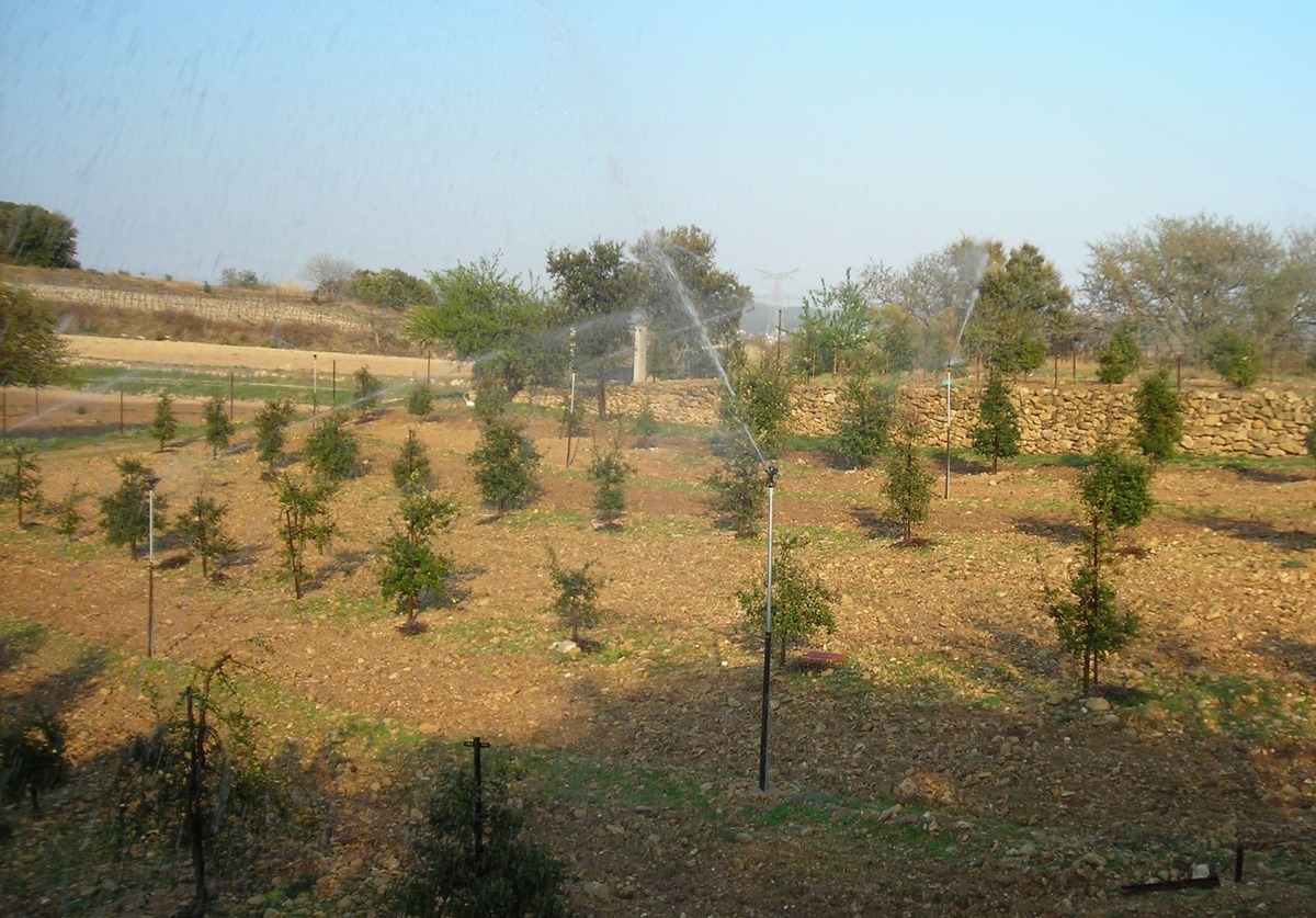 Irrigation par aspersion ou micro asperseur
